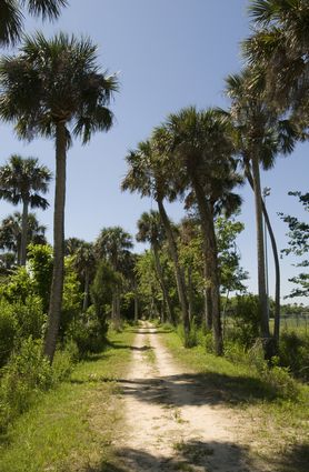 titusville trail at chain of lakes park