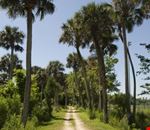 titusville trail at chain of lakes park titusville trail at chain of lakes park