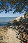 bradenton waterfront