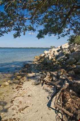 Bradenton