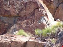 Petroglyphs in the rock