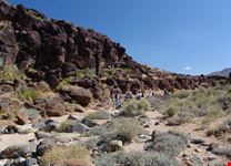 Petroglyphs area