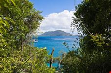 Island view through the jungle