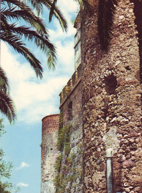 Particolare del Castello