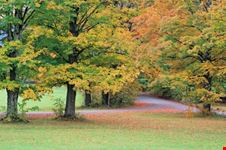Country Road