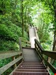 Hiking in the Amicalola Falls State Park