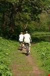 Elderly couple riding bikes
