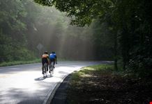 Cyclists on North Georgia countryside road