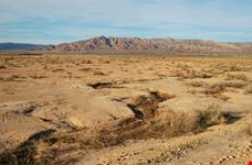 Desert landscape