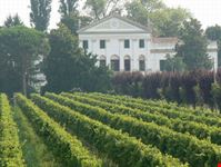 Cantina e Vigneti La Mincana (Dal Martello)