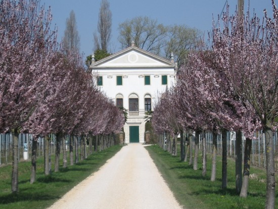 Primavera alla Mincana