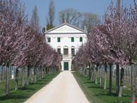 Primavera alla Mincana