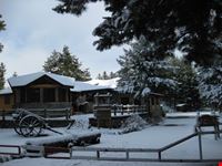 Sotto la neve