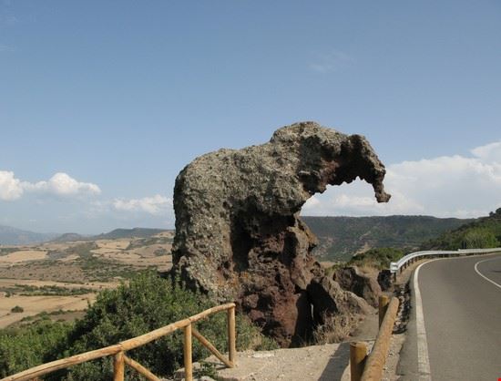  Sardegna alessandro bianchi alessandro bianchi