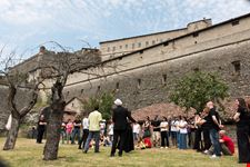 GAVI FORTE di cultura