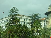 Palme ed hotel