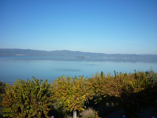 panorama dalla terrazza del bar latino