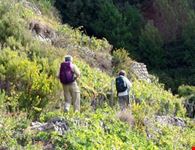 Le camminate tra le vigne...