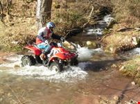 LUCCA QUAD