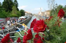 Un ponte fiorito