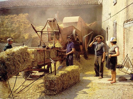festa della trebbiatura