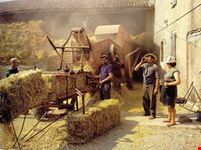 festa della trebbiatura