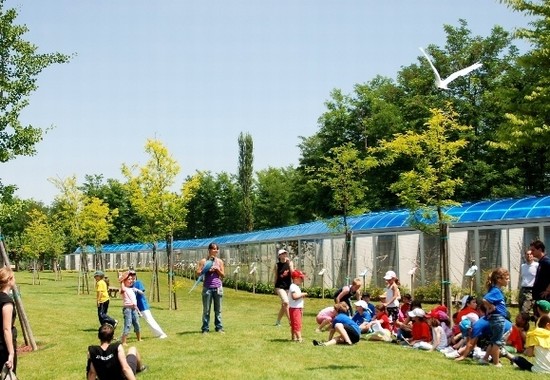 all'interno del parco
