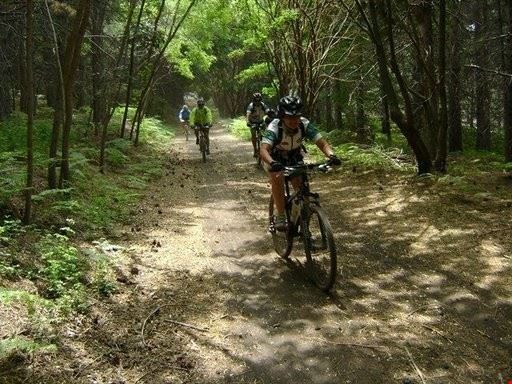 Etna in Mountain Bike e Trekking Uno dei tracciati in Mountain Bike dell'Etna. Beppe Petrullo Beppe Petrullo