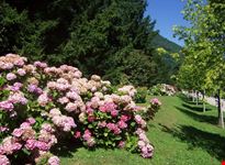 uno scorcio del giardino segreto