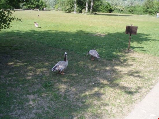 Percorso in natura Racconigi marianna prandi marianna prandi