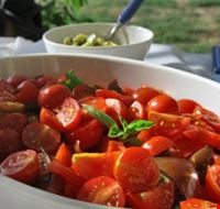 Pomodori biologici Pomodori biologici