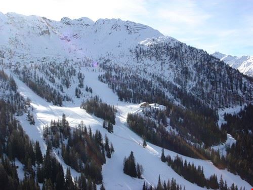  Parte del comprensorio sciistico aprichese visto dal parapendio qualche settimana fa. Un mare di neve e bellissimi boschi, i quali proteggono magnifiche piste e rendono l'aria balsamica. Antonio Stefanini Antonio Stefanini