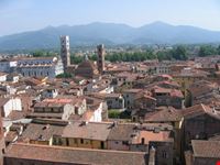 lucca dall' alto