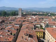 lucca