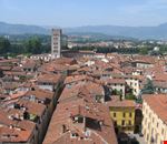 lucca lucca lucca lucca