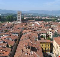 lucca lucca lucca lucca