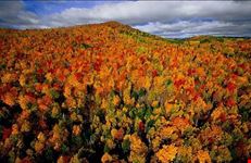 i colori d'autunno