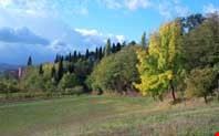 Campi e vigne di Luminasio