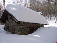 casetta nel bosco