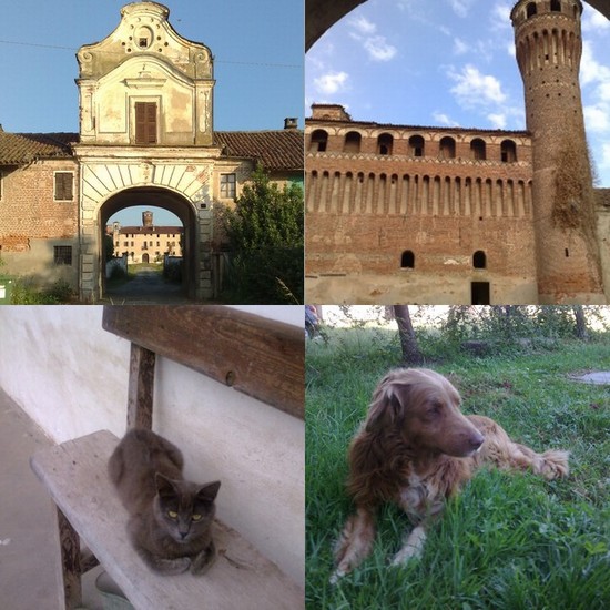 Esterni e animali di Vettignè