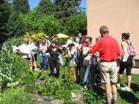 Visita guidata nel giardino