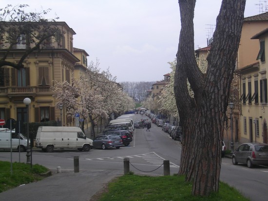 Vista dalle mura