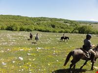 Tra i pianori carsici del Gargano