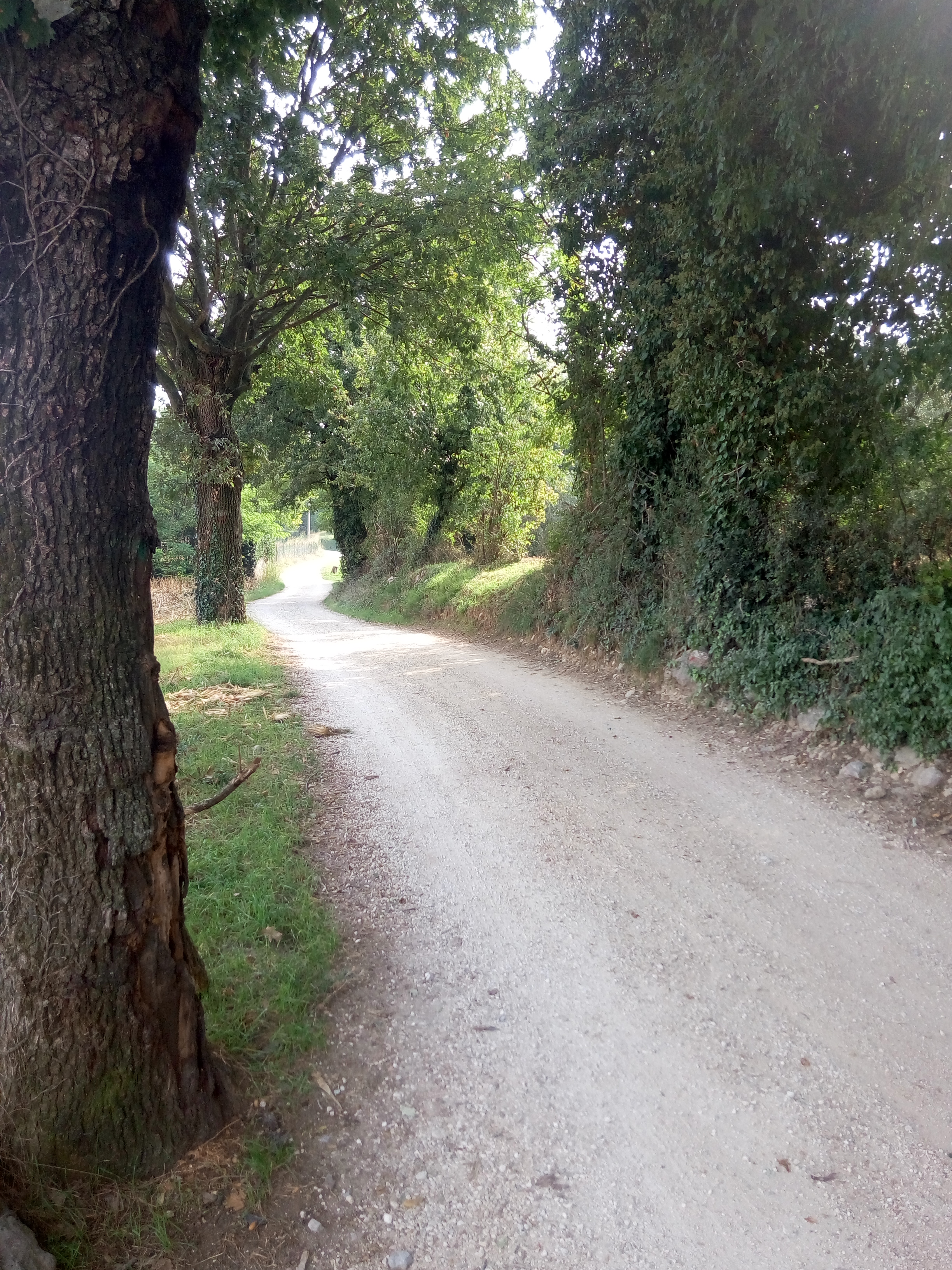 Parco del Perlino