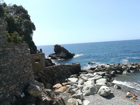Spiaggia del Pozzetto  Questa spiaggia è un angolo misterioso ma davvero molto bello. Si trova al confine fra Zoagli e Rapallo, due località maritime a circa 30km da Genova. Nella foto si vede la spiaggia con lo scoglio del Diavolo in primo piano, meta per i tuffatori. La spiaggia ha molti scogli e offre una vegetazione molto varia.  Valentino Ferrari  - ©squaloviolino2017  Valentino Ferrari 