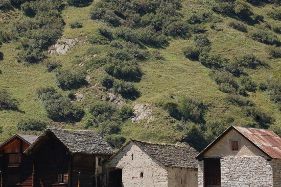 Paesaggio e casette