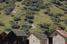 Paesaggio e casette