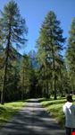 Verso Val Fiscalina