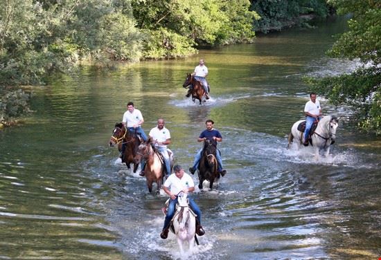 Escursioni a cavallo nel Cilento  - Fiume Calore - PASQUALE MAIALE - PASQUALE MAIALE