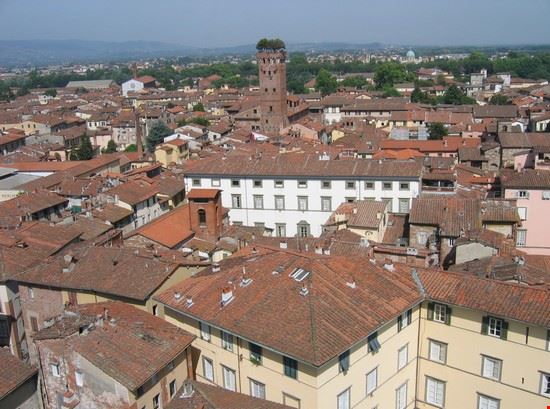 Guinigi Tower Lucca alessandro bianchi alessandro bianchi